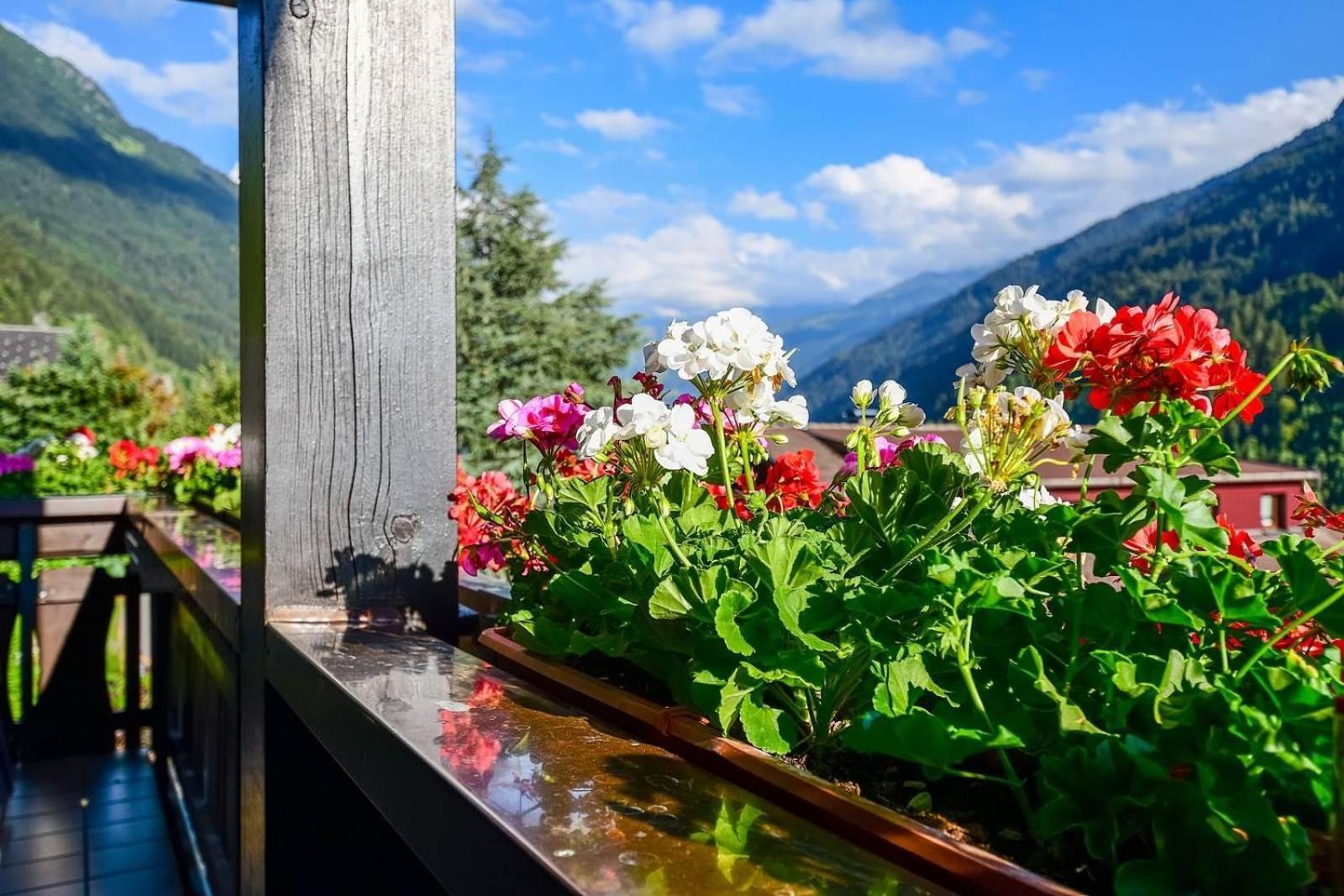 Apartment Rotbuehlspitze Sankt Gallenkirch Eksteriør billede